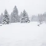 Chalet Charligustine - - 8p *