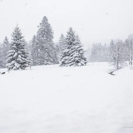 Chalet Charligustine - - 8p *