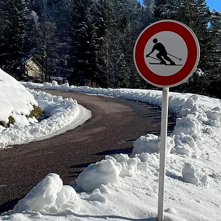 Charligustine - - 8p Chalet Gerardmer