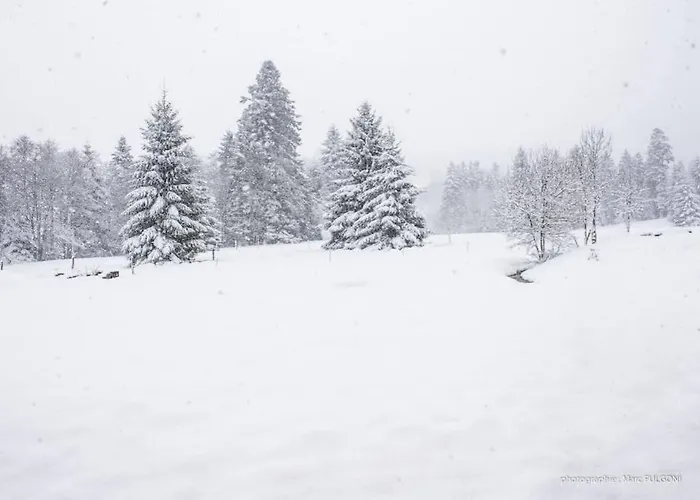 Horská chata Charligustine - - 8p *