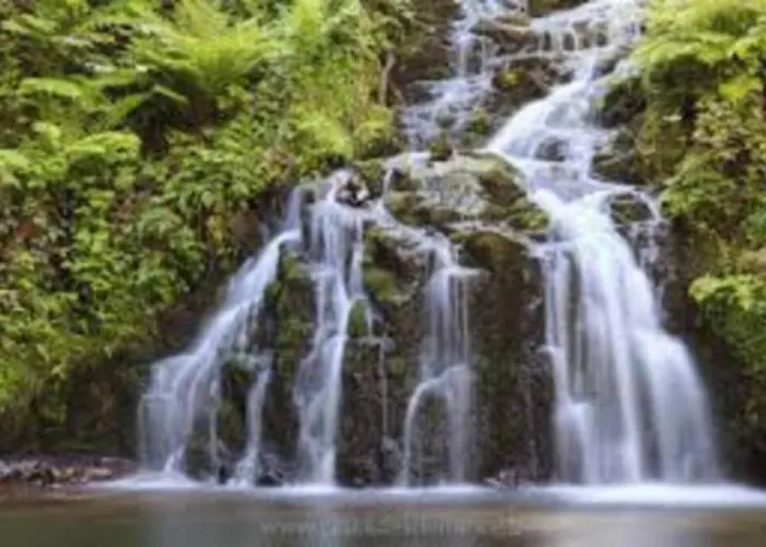 Charligustine - - 8p Horská chata *