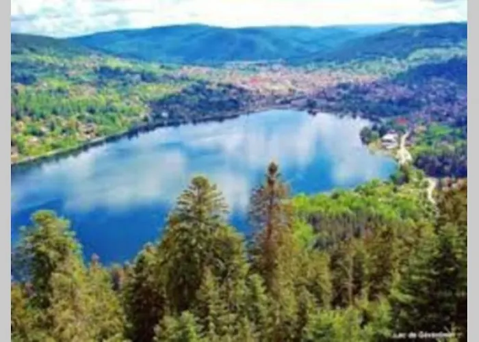 Charligustine - - 8p