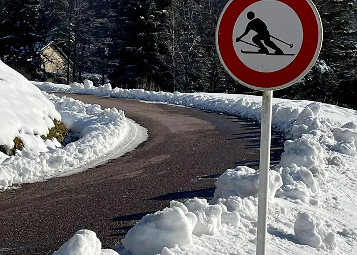 Charligustine - - 8p Horská chata Gérardmer